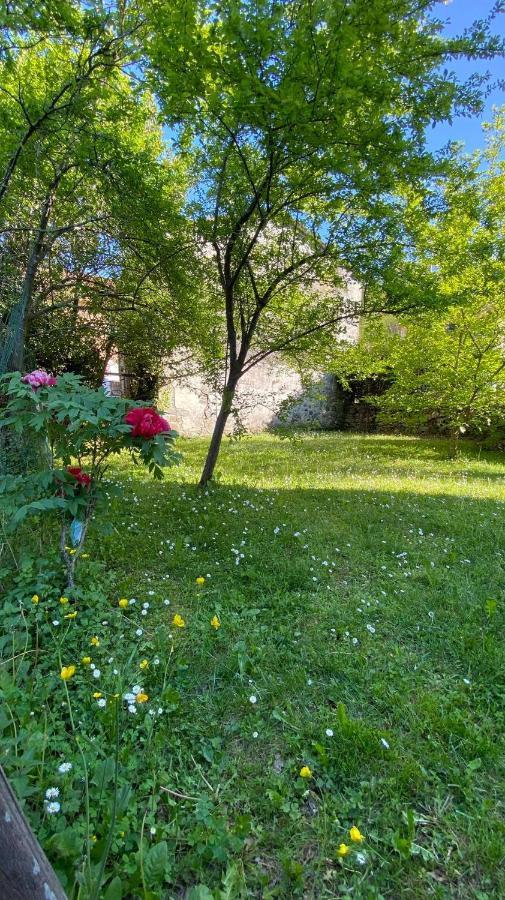 Villa Molinazzo Cicagna Exteriör bild